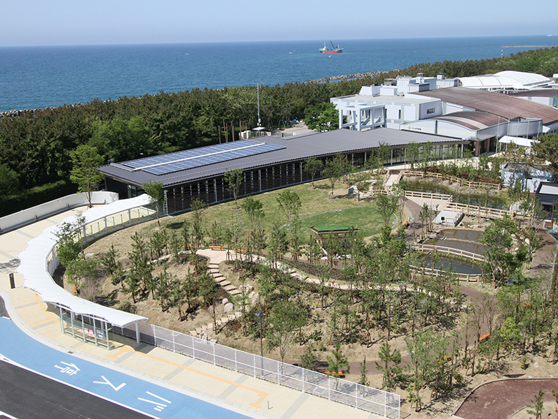 新潟市水族館リニューアル電気設備工事【JV】