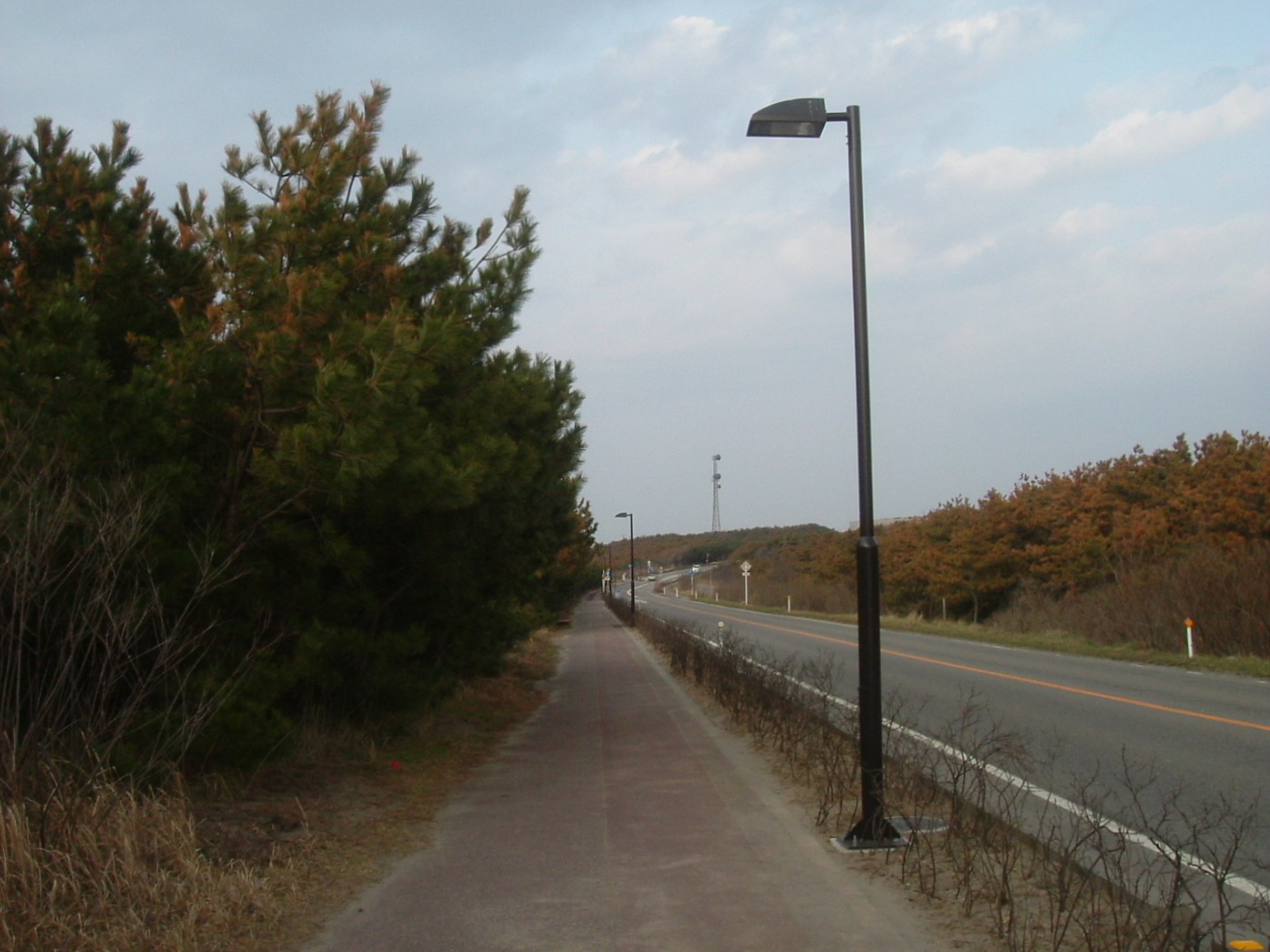 青山地内歩道照明灯設置工事